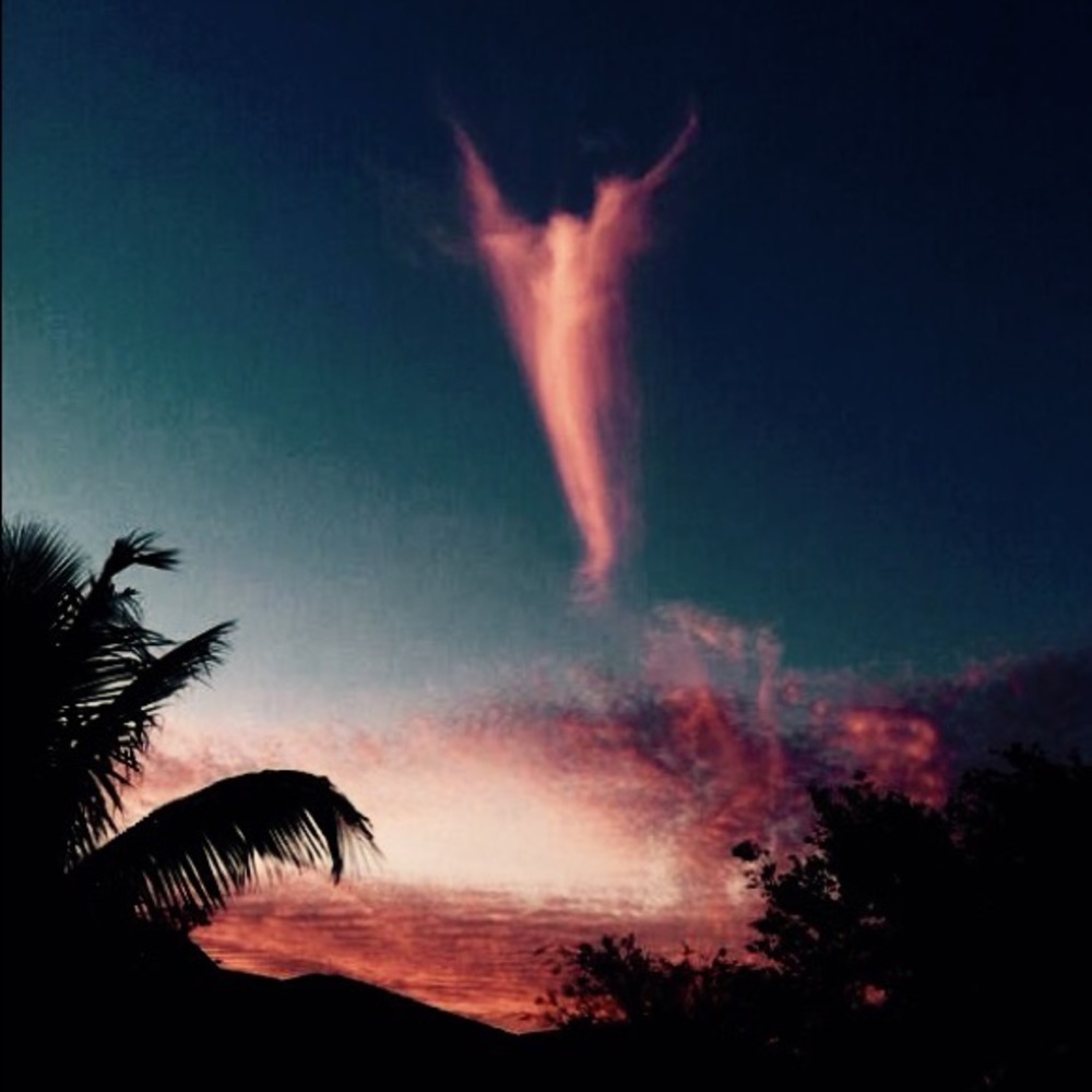 Meet your Posher, Toni